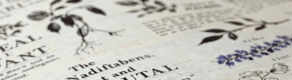 Cours particuliers et soutien scolaire