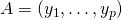 A=(y_{1},\dots,y_{p})