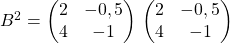 B ^{2} = \begin{pmatrix} 2&-0,5\\4&-1\end{pmatrix}\, \begin{pmatrix} 2&-0,5\\4&-1\end{pmatrix}