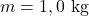 m=1,0~\mathrm{kg}