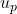 u_p