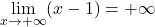 \lim\limits_{x \to +\infty} (x - 1) = +\infty