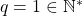 q=1 \in \mathbb{N}^*