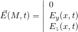 \displaystyle{\vec{E}(M,t)=\left|\begin{array}{l}0 \\ E_y(x,t) \\ E_z(x,t)\end{array}\right.}