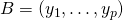 B=(y_{1},\dots,y_{p})