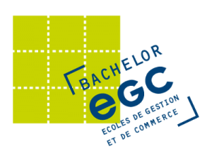Concours école postbac commerce Bachelor EGC