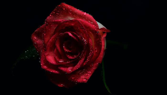 Cours de français en ligne : Le Rouge et le Noir de Stendhal