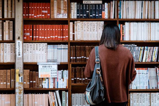 Cursus à Sciences Po