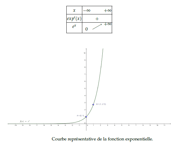 cours fonction exponentielle terminale D