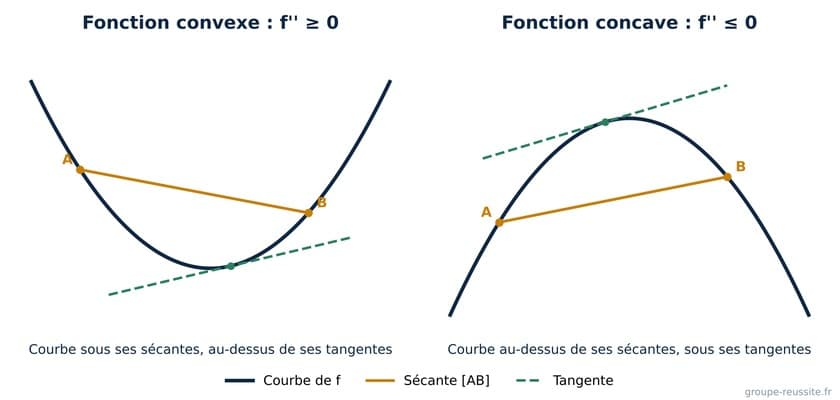 dérivation convexité terminale