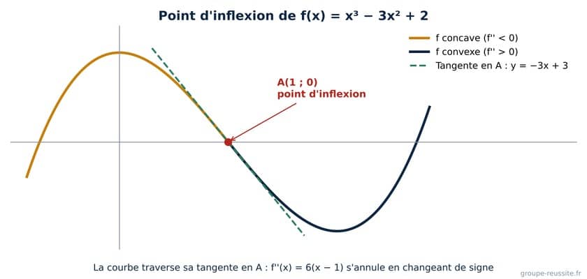 dérivation convexité terminale