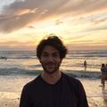 Milo prof de cours-particuliers de français à Pau