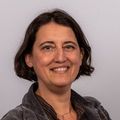 Anne prof de cours-particuliers d'arts plastiques