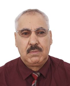 Ali professeur particulier Informatique Groupe Réussite