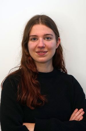 Abigél prof de cours-particuliers d'informatique à Grenoble