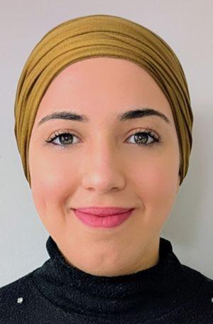 Farah cherifa prof de cours-particuliers d'informatique à Champigny-sur-Marne