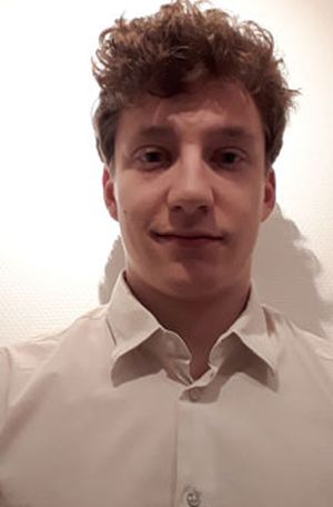 Louis prof de cours-particuliers de synthèse de documents à Lille