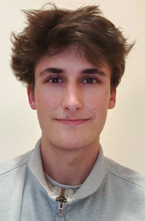 Merlin prof de cours-particuliers d'informatique à Vannes