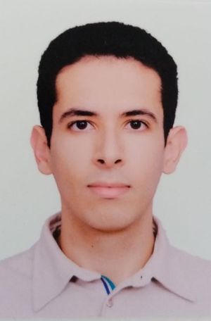 Aymen prof de cours-particuliers de maths à Auch