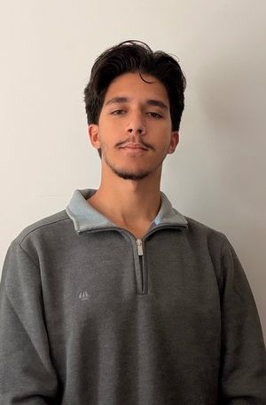 Ala-eddine prof de cours-particuliers d'informatique à Villepinte