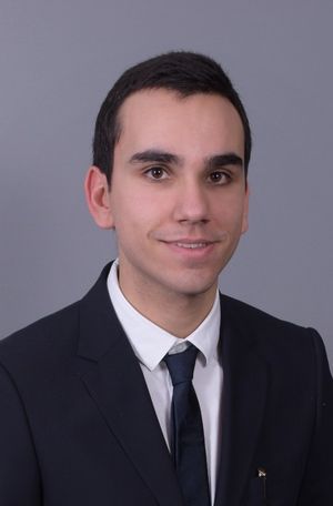 Benjamin prof de cours-particuliers de probabilités statistiques à Rennes