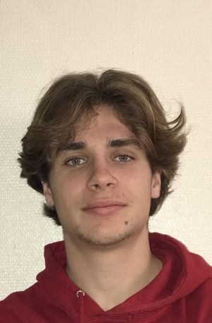 Isidore prof de cours-particuliers d'informatique à Lyon 8e