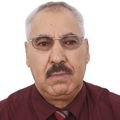 Ali prof de cours-particuliers de logique maths à Saint-Jean