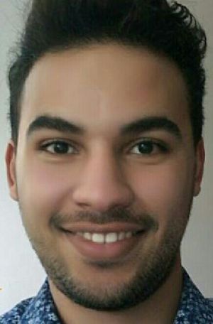Ilyass prof de cours-particuliers d'informatique à Troyes