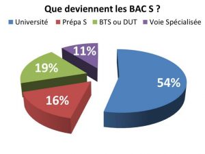 Quels Enseignements De Specialite Choisir En 2nde Pour La 1ere