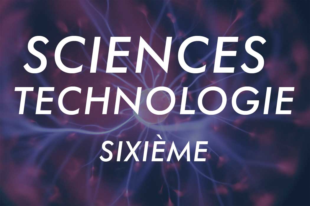 Programme De Sciences Et Technologie De 6eme Au College